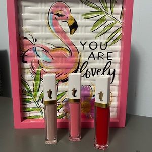 NWT True Lipz Set Of 3 Lip Glosses With Light And Mirror